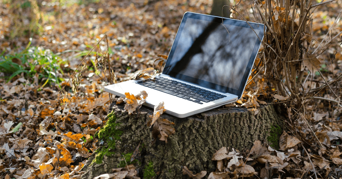 a laptop in the middle of the forest